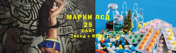 сатива Зерноград