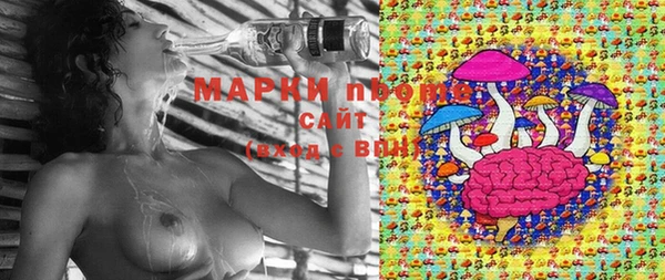 дживик Зеленокумск