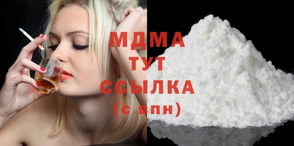 хмурый Няндома