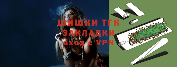 дживик Зеленокумск