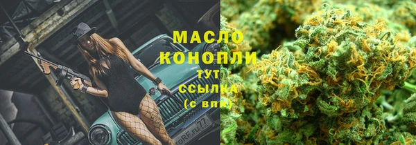 сатива Зерноград