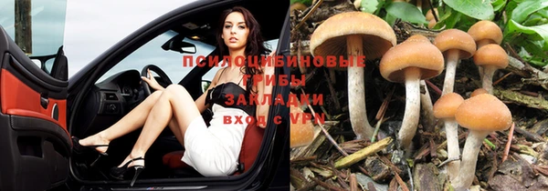 метадон Зеленодольск