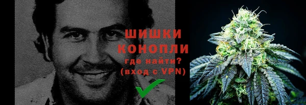 дживик Зеленокумск