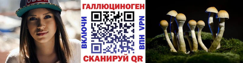 Псилоцибиновые грибы Magic Shrooms Исилькуль